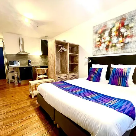 Baionakoa Appartement *